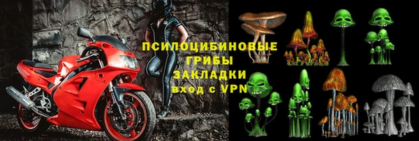 ГАЛЛЮЦИНОГЕННЫЕ ГРИБЫ Алексин