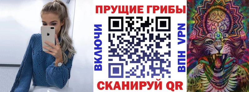 Псилоцибиновые грибы GOLDEN TEACHER  Кохма 